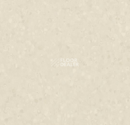 Линолеум Forbo Sphera Element 50022 shell фото 1 | FLOORDEALER